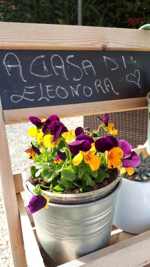 B&B A Casa Di Eleonora ヴィッラフランカ・ディ・ヴェローナ エクステリア 写真